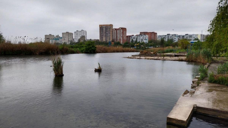 На кладбище в Ростовской области нашли коровьи головы