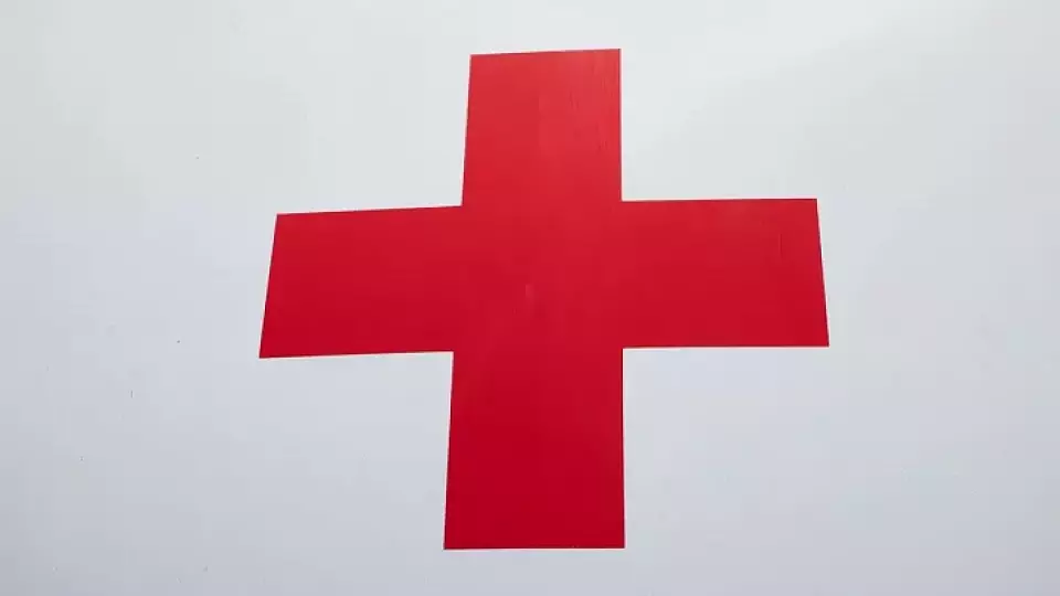 Аллерголог советует менять зубную щетку после каждой болезни