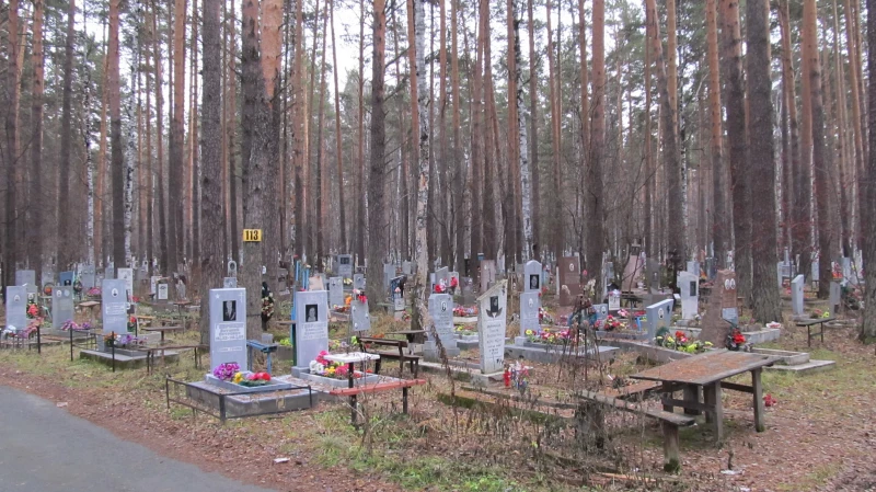 Старые деревья уберут с кладбищ за 23 миллиона рублей