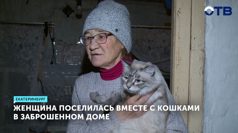 Женщина поселилась вместе с кошками в заброшенном доме