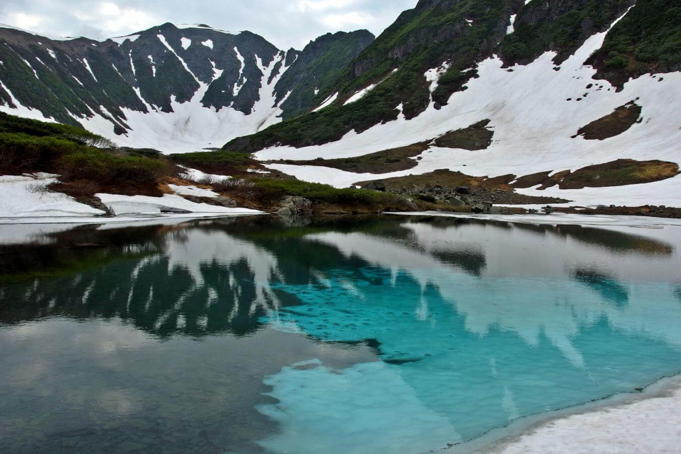 В озерах Камчатки нашли рыб-каннибалов