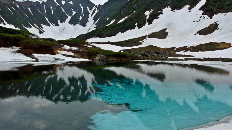 В озерах Камчатки нашли рыб-каннибалов