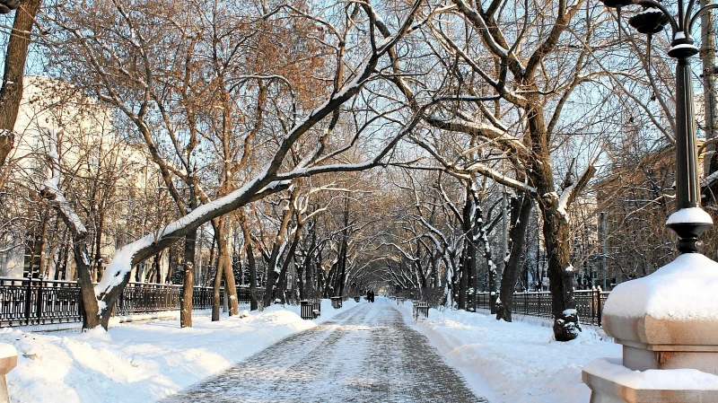 В Свердловской области последняя неделя ноября будет теплой