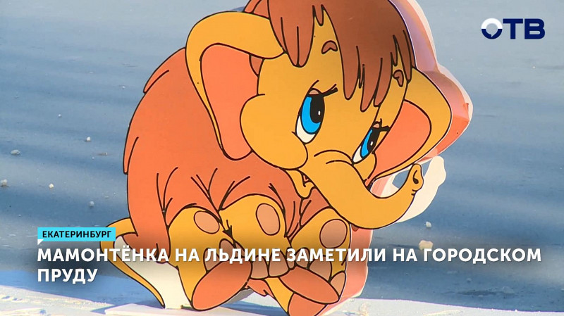Мамонтёнка на льдине заметили на городском пруду Екатеринбурга