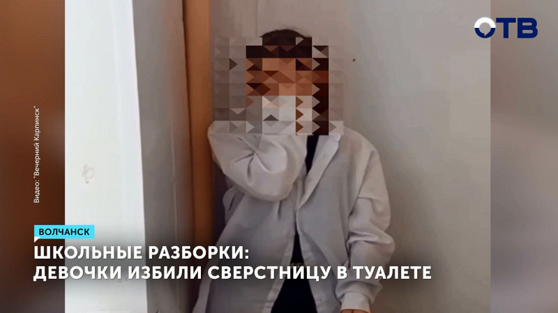 Школьные разборки: девочки избили сверстницу в туалете