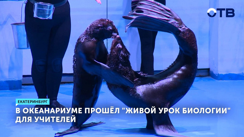 В Океанариуме прошёл «живой урок биологии» для учителей