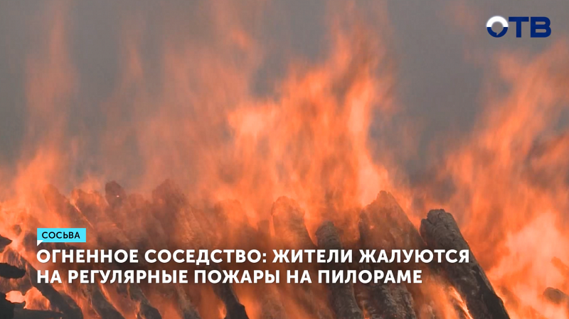 Жители Западного боятся жить возле пилорамы