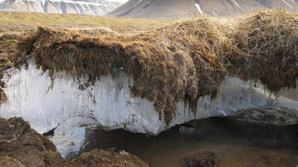 Ямал предоставит гранты студентам для исследования мерзлоты