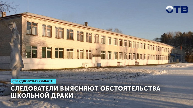 Следователи выясняют обстоятельства школьной драки