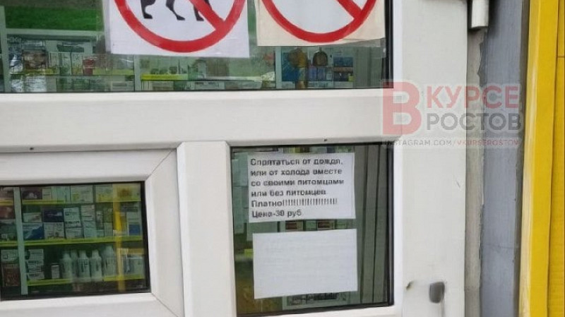 Аптека в Ростове начала брать плату за возможность погреться