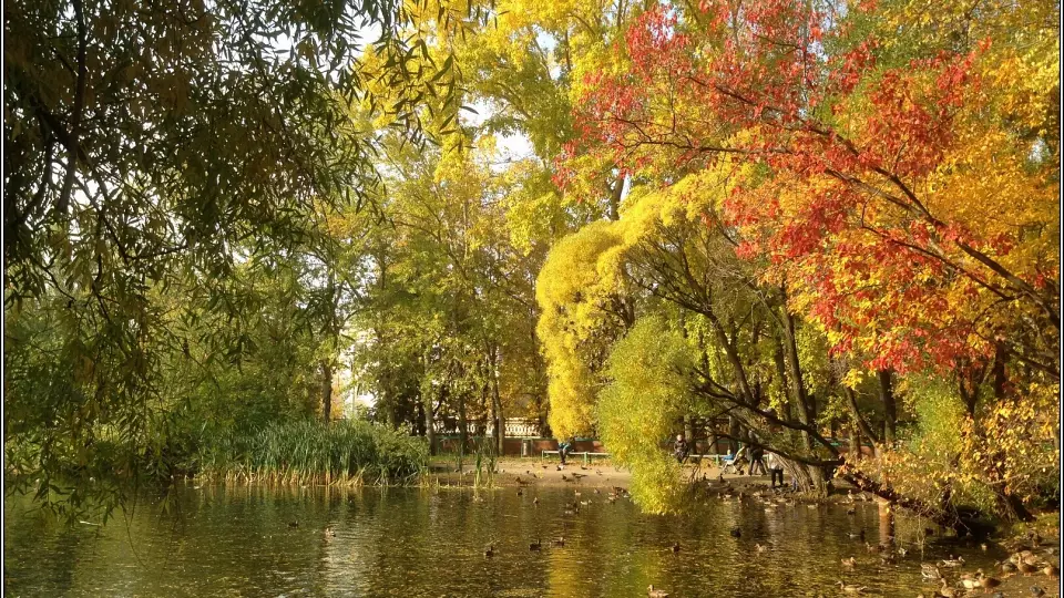 В Екатеринбурге начали очистку водоёма в Дендропарке