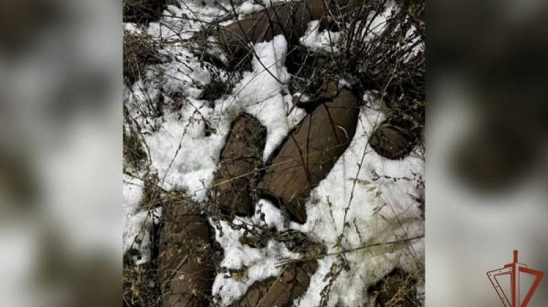 Росгвардия обезвредила 96 артиллерийских снарядов в Полевском