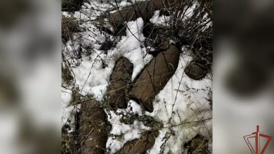 Росгвардия обезвредила 96 артиллерийских снарядов в Полевском