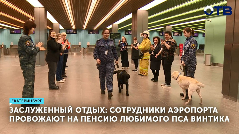 В аэропорту Кольцово проводили на пенсию любимого пса Вильяма