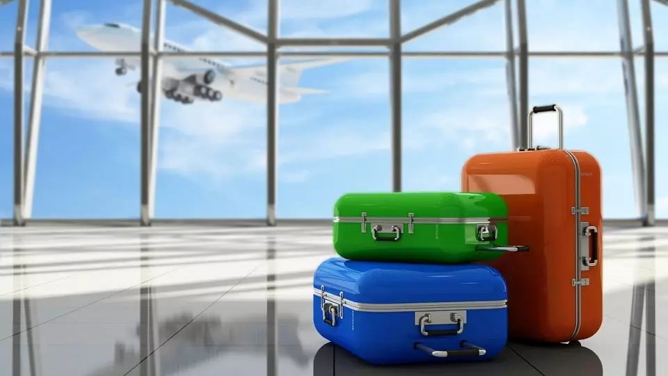 В Новосибирске задержали женщину с головой крокодила в багаже