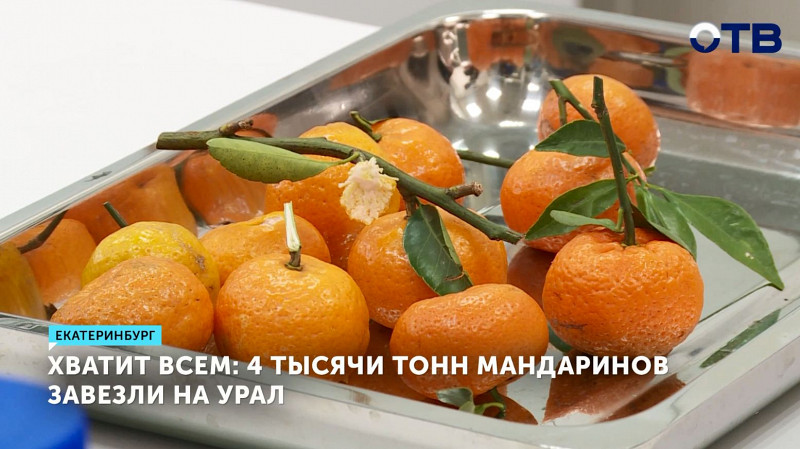 4 тысячи тонн мандаринов завезли на Урал