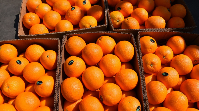 Свердловская область получила 4 тысячи тонн мандаринов к Новому году