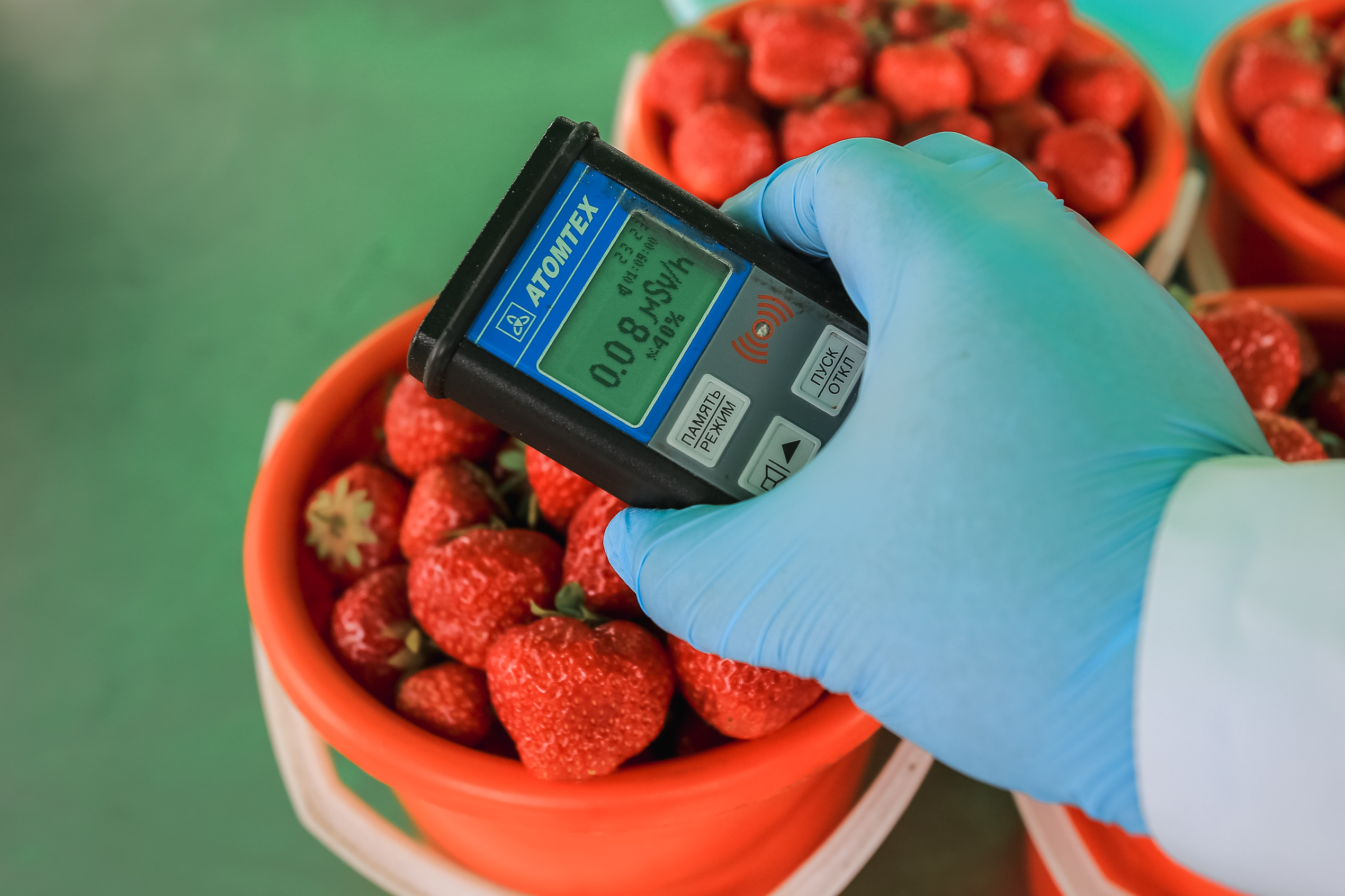 В Екатеринбурге в магазины крупной продуктовой сети поступали непроверенные овощи и фрукты