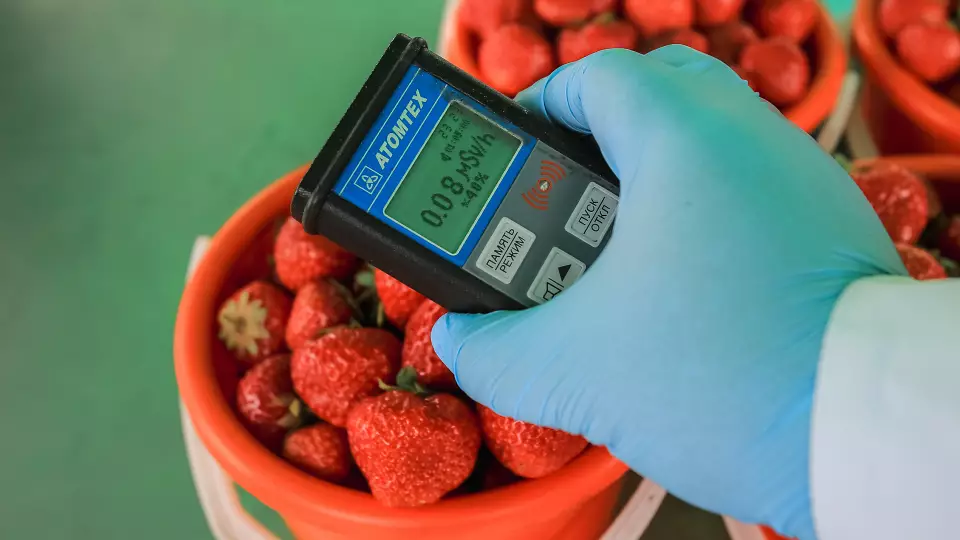 В Екатеринбурге в магазины крупной продуктовой сети поступали непроверенные овощи и фрукты