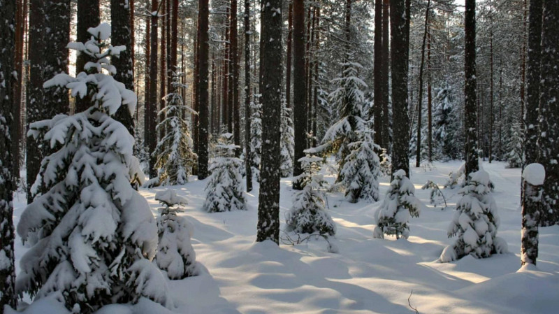 Сильное землетрясение произошло в Свердловской области