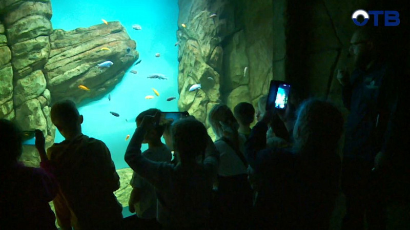 Лучший класс - лучшие приключения: ученики из Каменска-Уральского погрузились в подводный мир