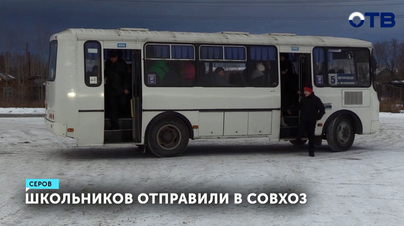 Школьников Серова отправили в совхоз