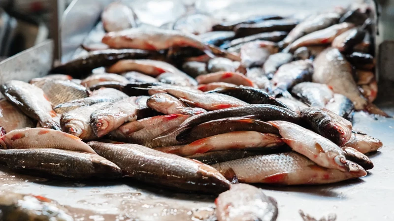 Рыбака в Амурской области прооперировали из-за недожаренного карася