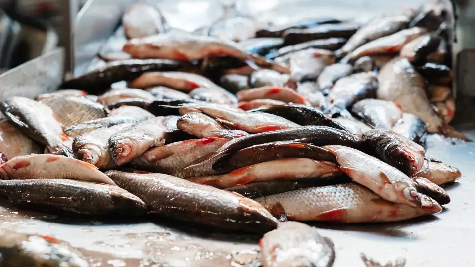 Рыбака в Амурской области прооперировали из-за недожаренного карася