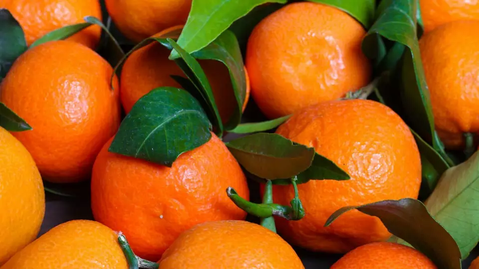 Диетолог рассказала, кому запрещено есть мандарины