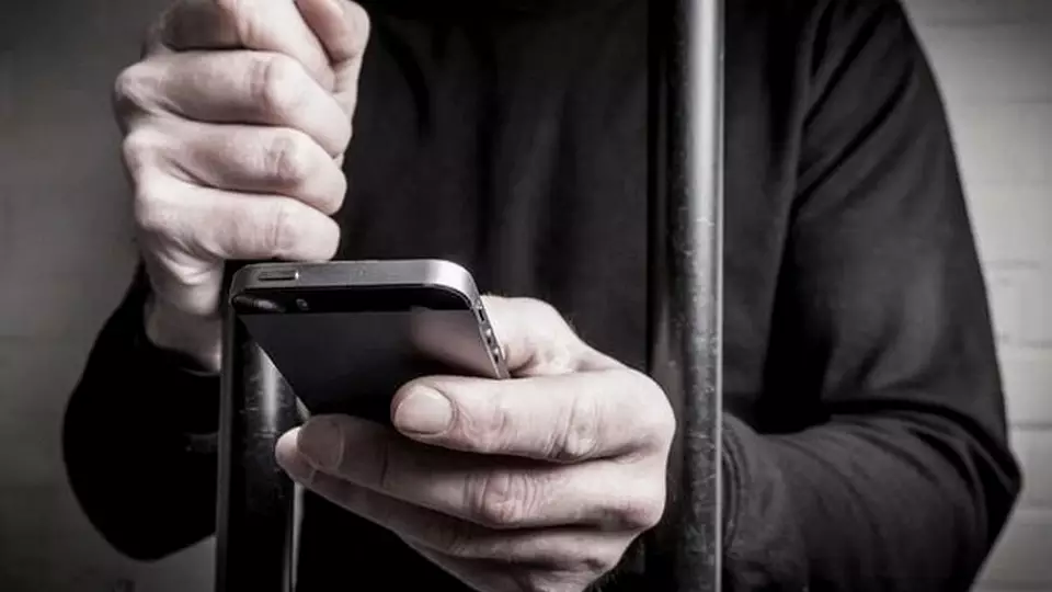 Как курьерам избежать тюрьмы за мошенничество?