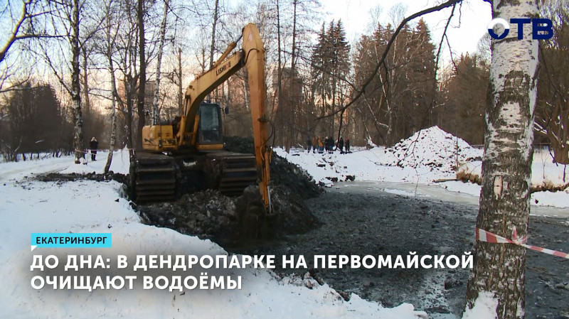До дна: в Дендропарке на Первомайской очищают водоёмы