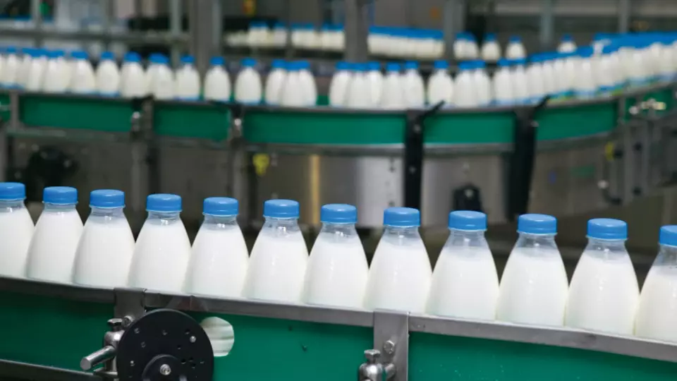 Цены на молоко в Свердловской области выросли на 28% за год