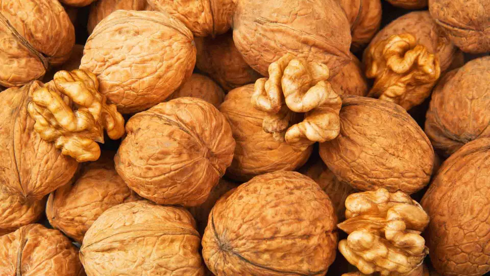 В Екатеринбург привезли 26 тонн грецких орехов из Китая
