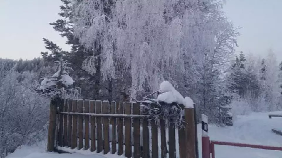 В природных парках Свердловской области расширят зоны отдыха