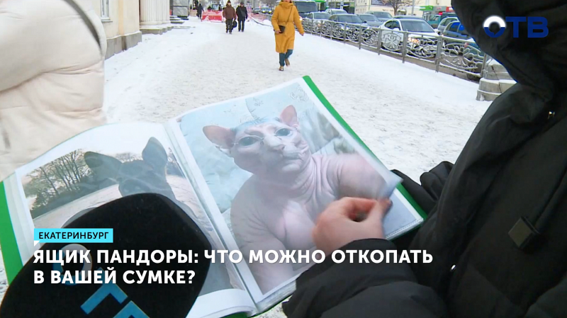 День великих сумочных раскопок отмечают 16 января!