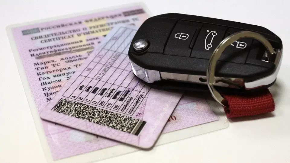 В ГАИ рассказали, кому автоматически продлят водительские права