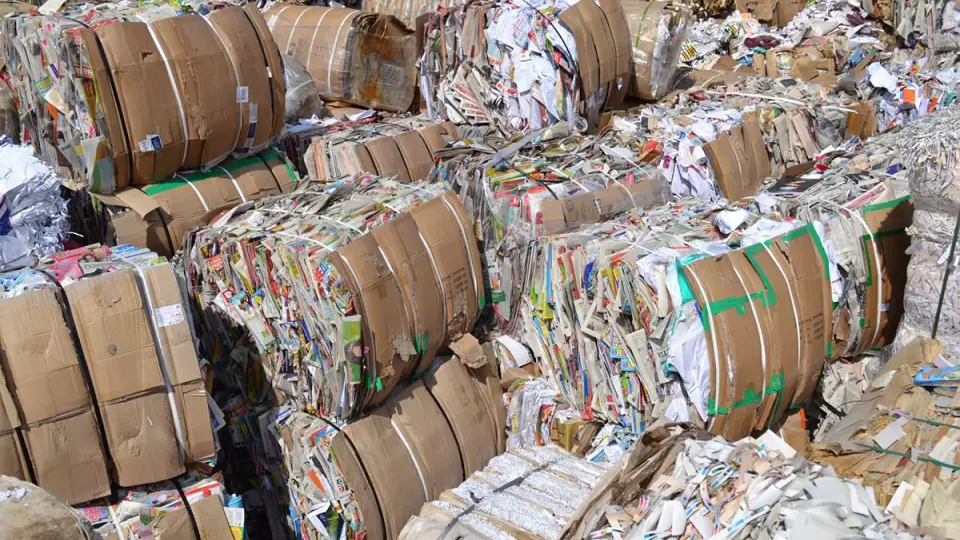 В УрФУ разработали метод переработки отходов бумаги в удобрения