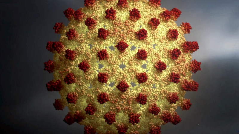 В Екатеринбурге шесть детей из цыганского поселка заболели гепатитом А