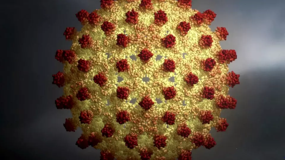 В Екатеринбурге шесть детей из цыганского поселка заболели гепатитом А