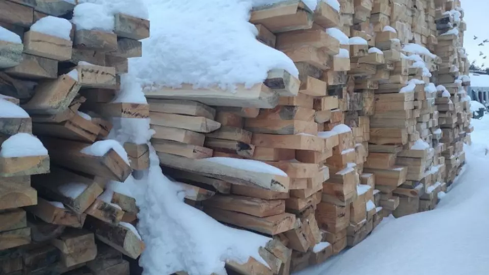 Объем незаконных рубок в Свердловской области снизился на 44%