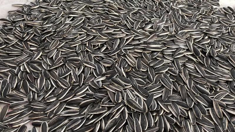 Из Китая на Урал прибыл поезд с семенами подсолнечника