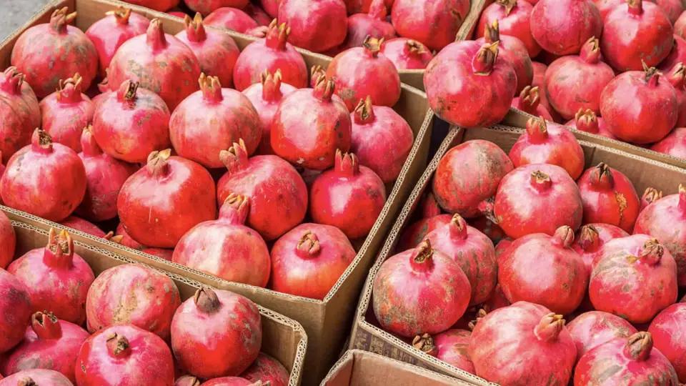 В Екатеринбург привезли 20 тонн гранатов из Турции