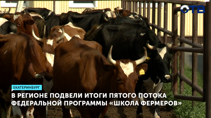 В регионе подвели итоги пятого потока федеральной программы «Школа фермеров»