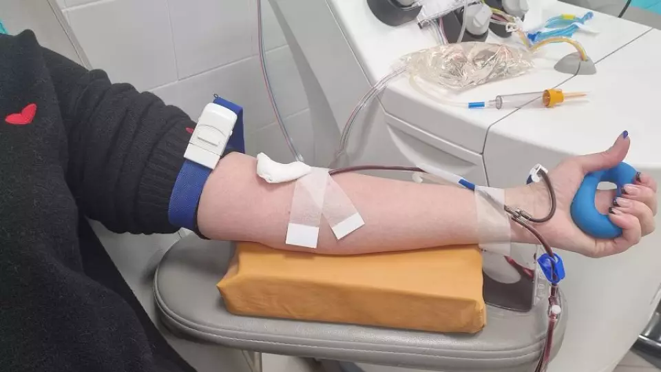 Свердловские врачи впервые заготовили стволовые клетки для лечения лейкоза