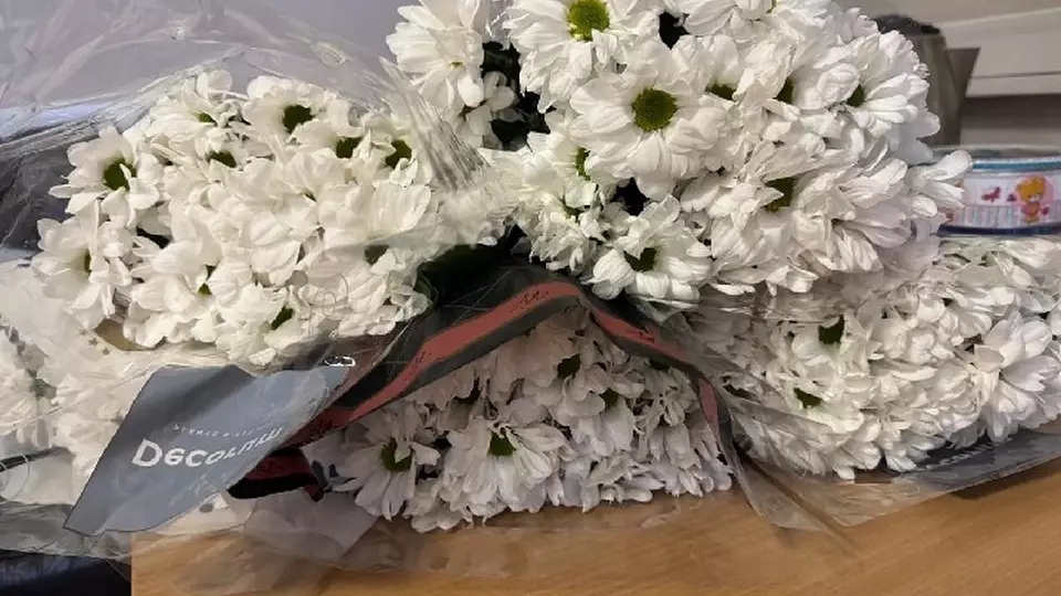 370 тысяч заражённых хризантем уничтожили в Екатеринбурге