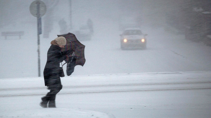 МЧС предупреждает о штормовом ветре в Свердловской области