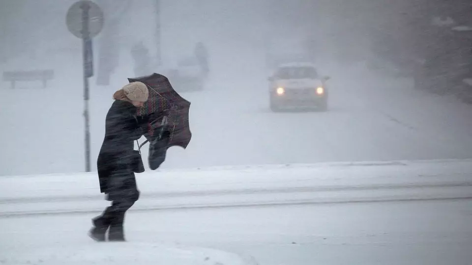 МЧС предупреждает о штормовом ветре в Свердловской области