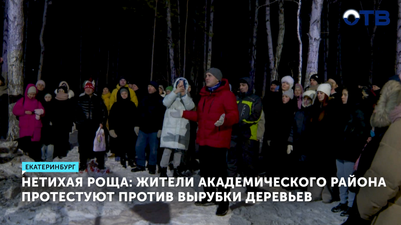 Суд приостановил вырубку берёзовой рощи в Екатеринбурге