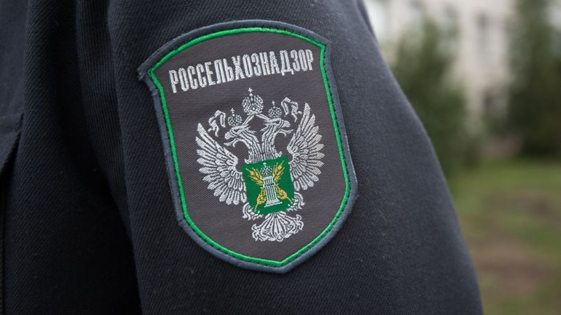 В Каменском районе Свердловской области нашли незаконную свалку на землях сельхозназначения