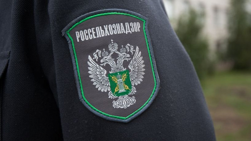 В Каменском районе Свердловской области нашли незаконную свалку на землях сельхозназначения